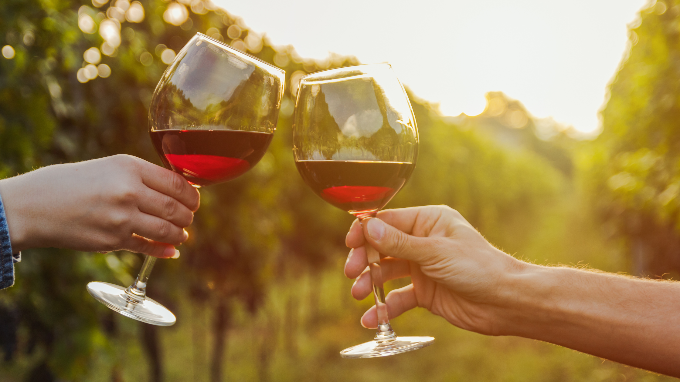 Best Wineries in Washington